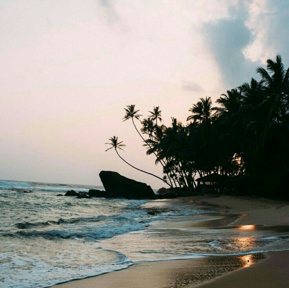 Meet the Posher Other - Meet your Posher, Lusa